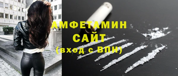 гидра Богданович