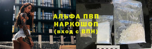 гидра Богданович