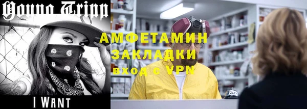 гидра Богданович