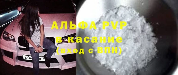 гидра Богданович