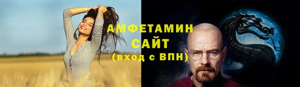 гидра Богданович
