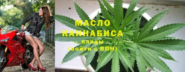 гидра Богданович